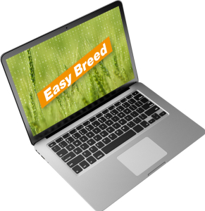 Easy Breed breeding software