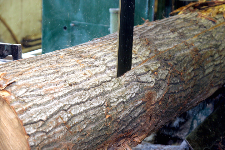 Resaw and log band saws