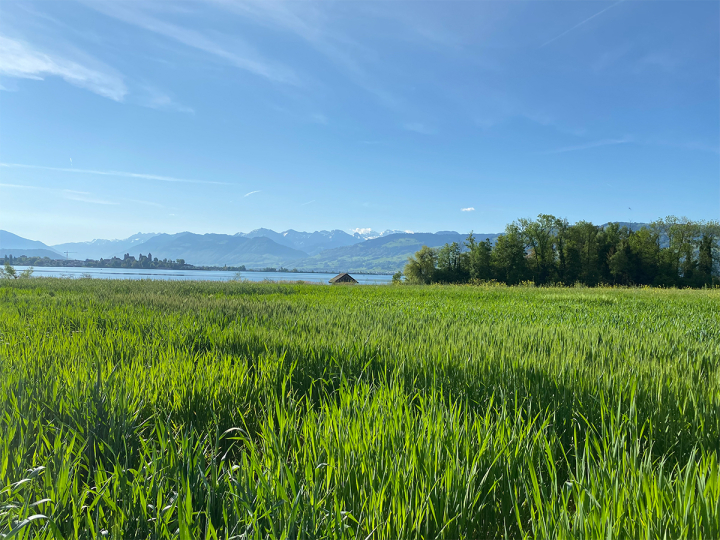 Peter Kunz Grain Breeding